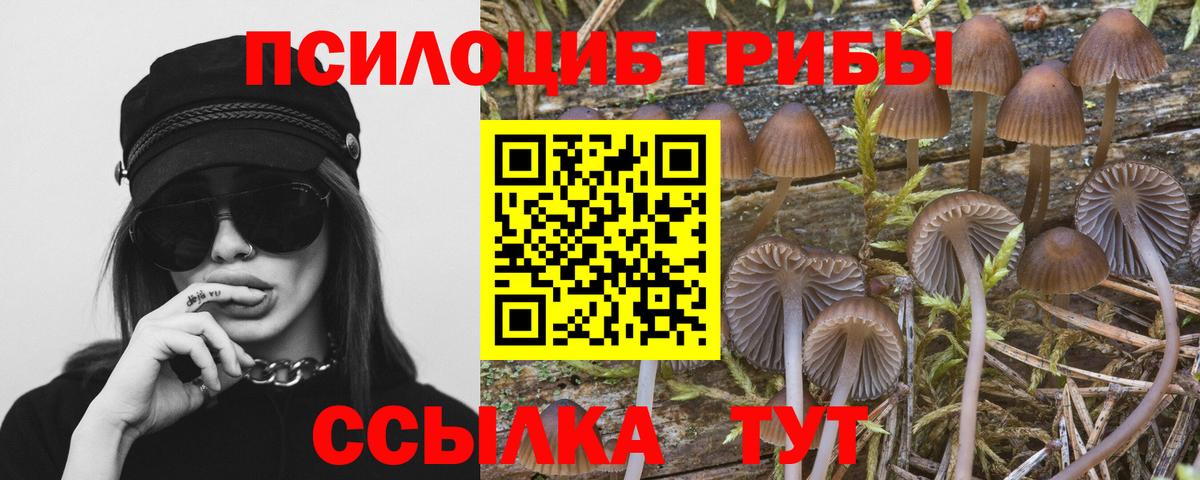 Псилоцибиновые грибы GOLDEN TEACHER  Вход с VPN  Лабинск 